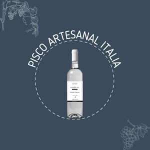pisco artesanal italia peru